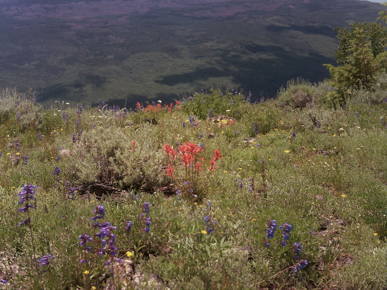 Colorado Western Slope